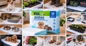 Собачьи пеленки из Fix Price пригодятся даже без собаки: 10+ неожиданных способов использования дома и на даче 