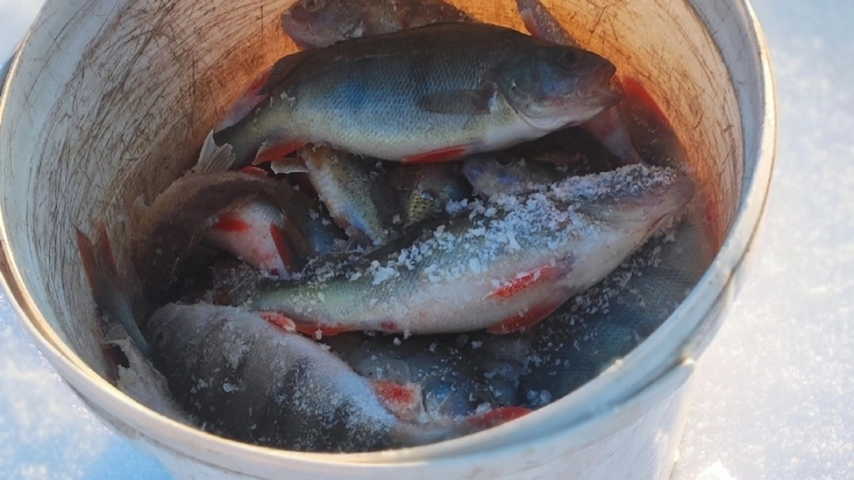 В Киселевске спасатели предупредили рыбаков о смертельной опасности на льду