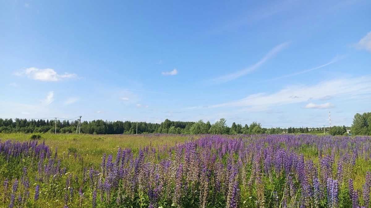 Прошлый год покажется цветочками — хотя было за +35: Гидрометцентр изменил прогноз на лето 2026-го