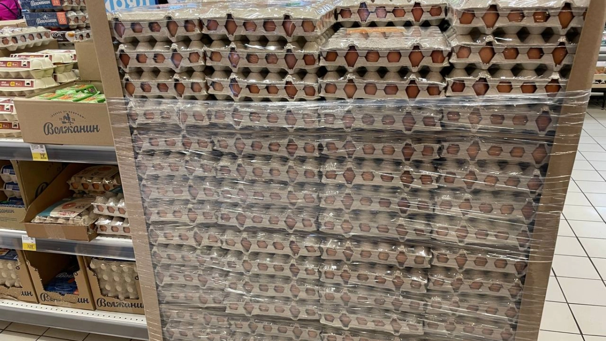 Не выбрасывайте пустые лотки от яиц: 5 идей, что из них можно сделать для дома и для дачи