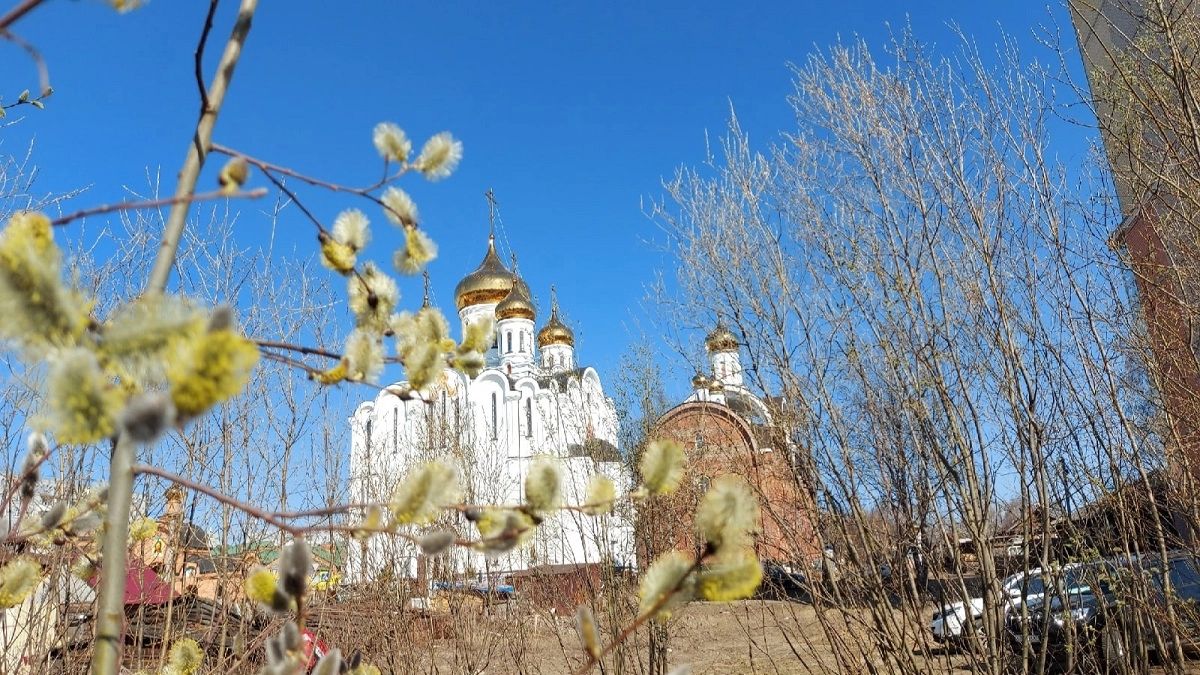 Вербное воскресенье 2026: все, что нужно знать о важном празднике в преддверии Пасхи