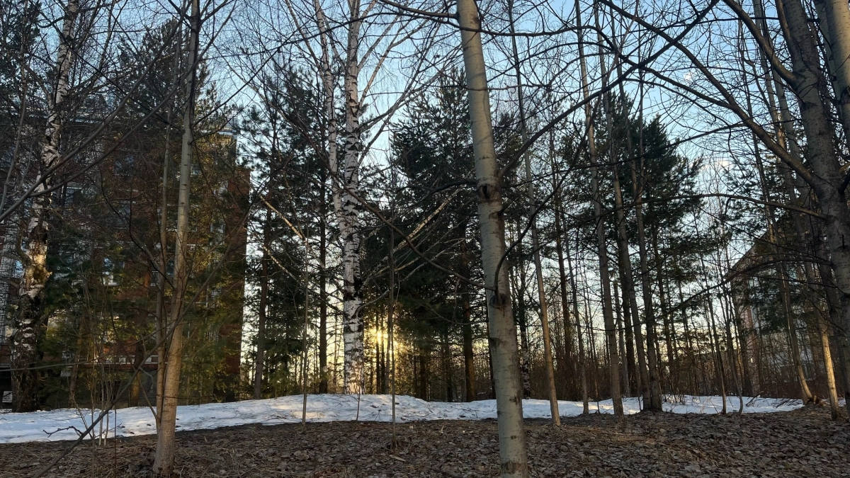 5 апреля Кузбасс после ночных заморозков ждёт до +19 градусов