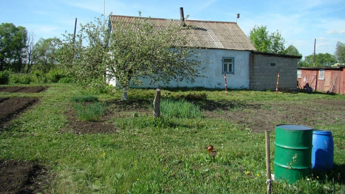 Со сходом снега ставлю в теплице бочку с водой — и больше не мучаюсь, как сосдеи: всю весну хлопот не знаю
