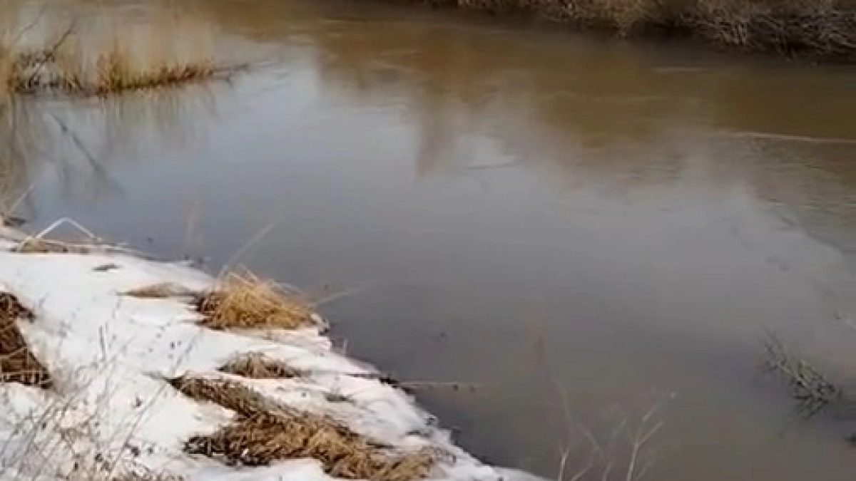 Река Иня в Беловском округе первой в Кузбассе освободилась ото льда 