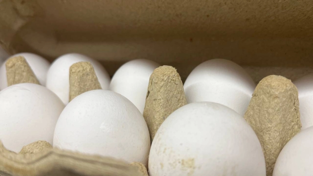 Кемеровская область обогнала регионы Сибири по производству яиц