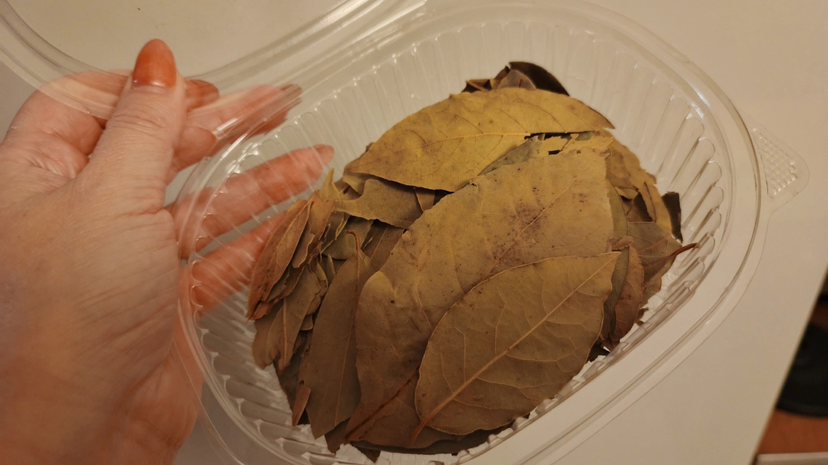 Кладу лавровый лист под подушку — и крепкий сон обеспечен: вся семья моментально замечает разницу дома