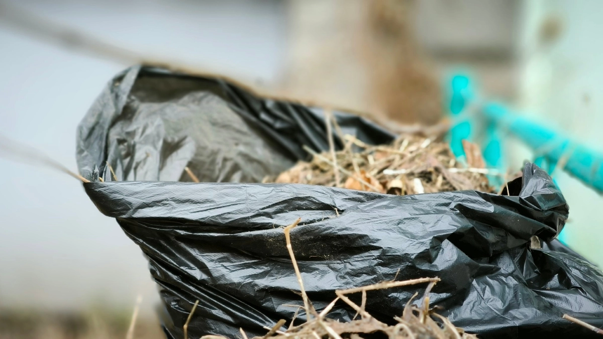 В Киселевске готовятся провести третий весенний субботник и навести чистоту перед Пасхой