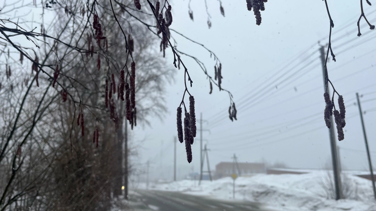 В Кемеровской области 9 апреля ожидается сухая и ветреная погода