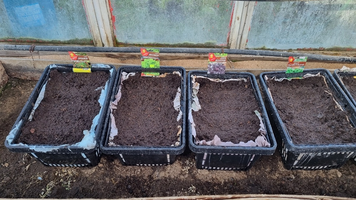 Самые удачные дни для посева томатов и огурцов в апреле: как не прогадать с датами