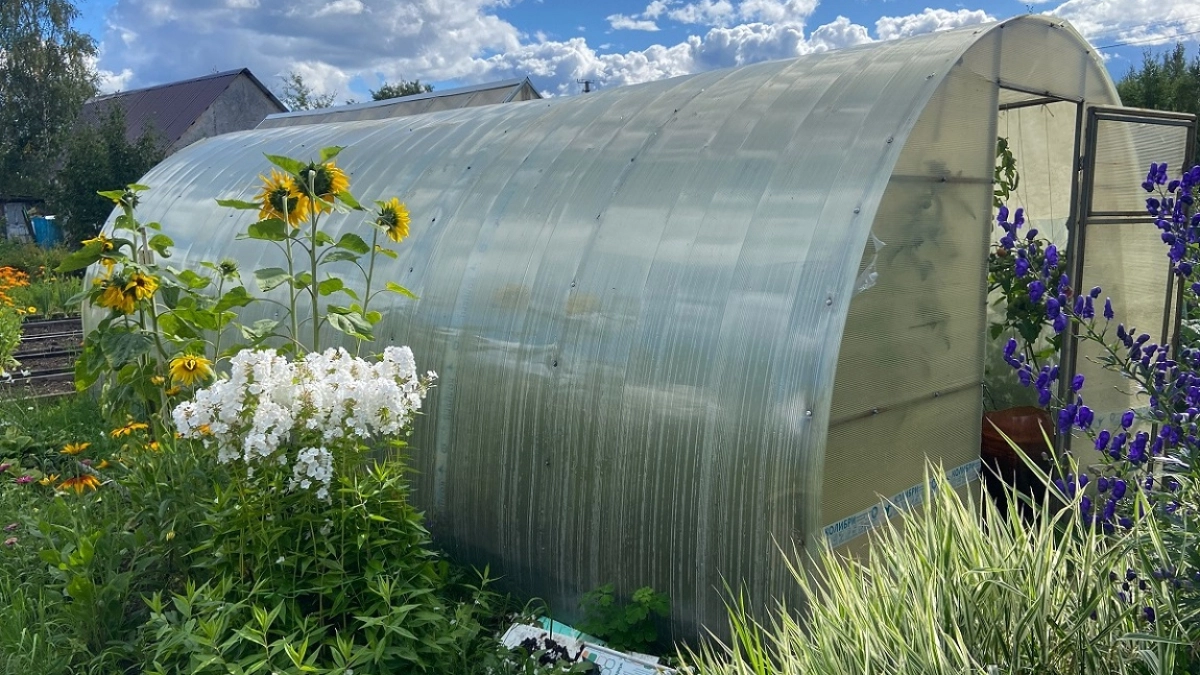 Поликарбонат в прошлом: этот материал для теплицы не трескается и не мутнеет - садоводы в восторге от новинки