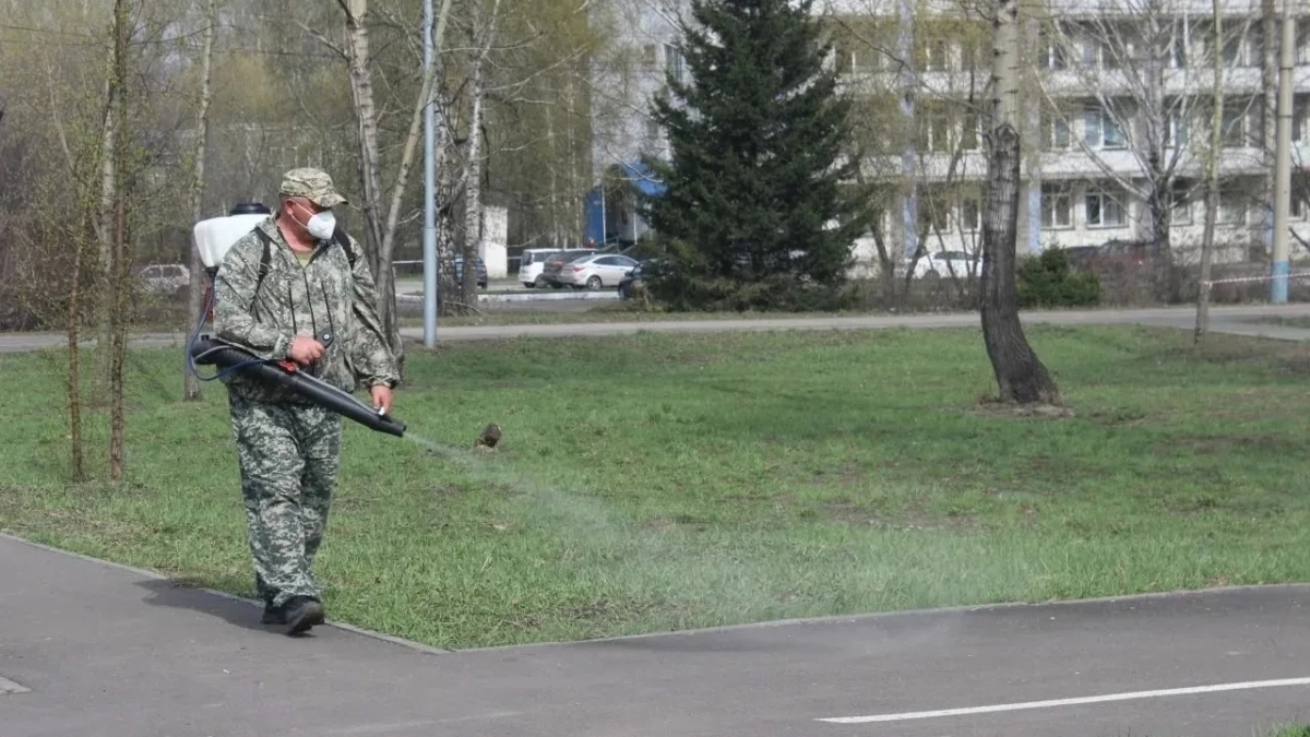 Киселевск готовится к сезону обработки территорий от клещей