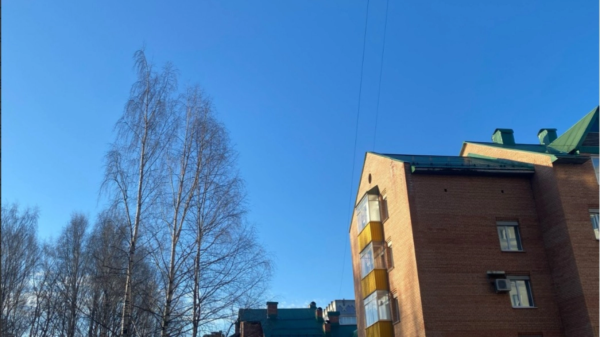 11 апреля Кузбасс накроют заморозки и северный ветер