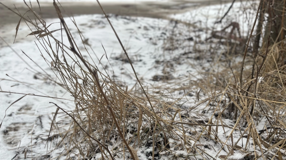 По прогнозу Кузбасс 12 апреля ожидает прохладный день с порывистым ветром