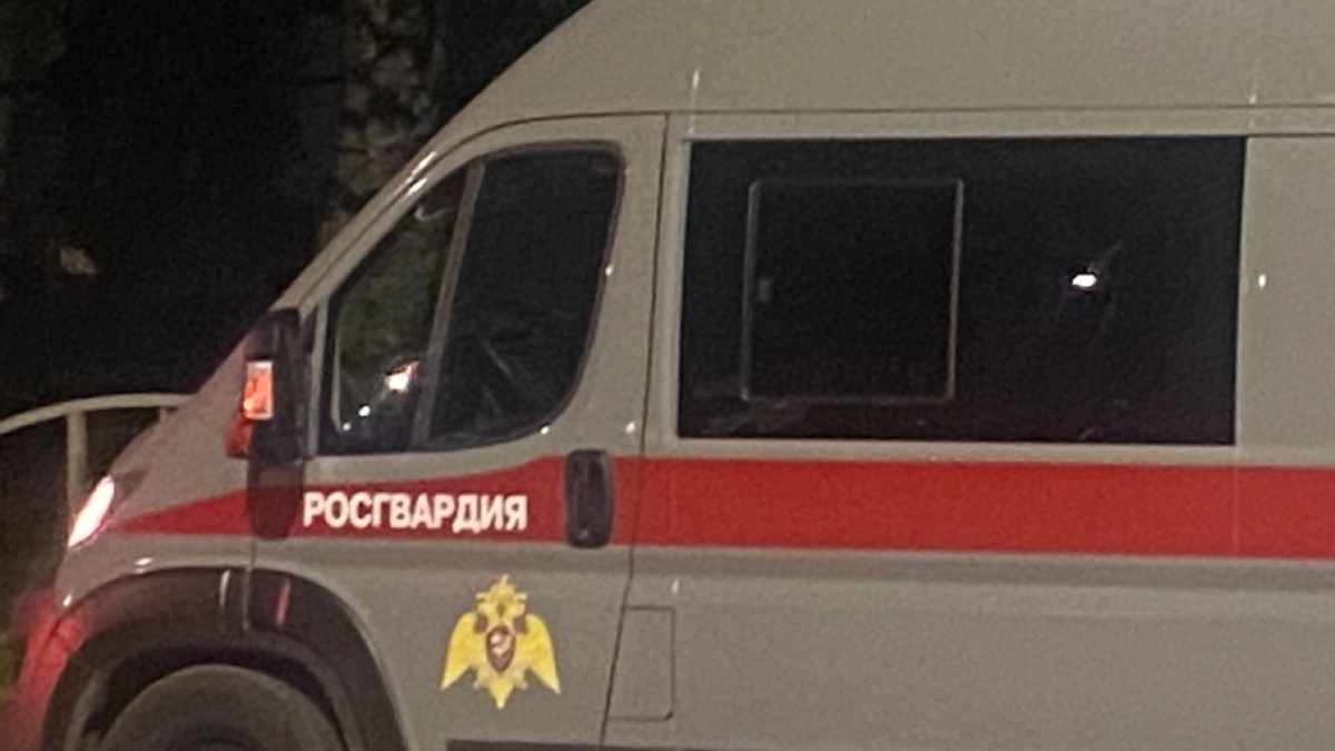 В Кузбассе росгвардейцы задержали мужчину за избиение сожительницы