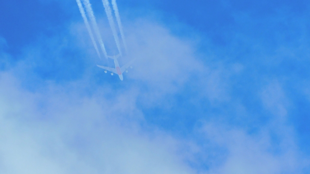 Медсестра из Кузбасса помогла пассажирке в самолёте на рейсе в Китай