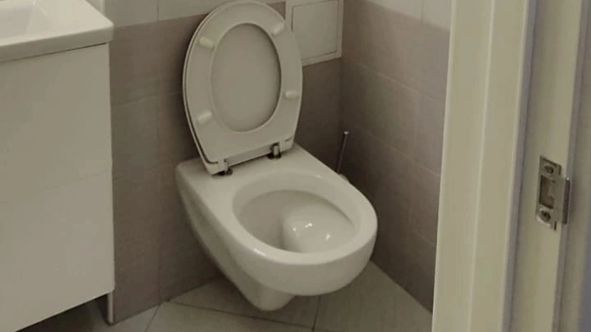 «Просто закинь 5 ложек соли в унитаз на ночь, утром он будет блестеть»: знакомая горничная поделилась интересным трюком