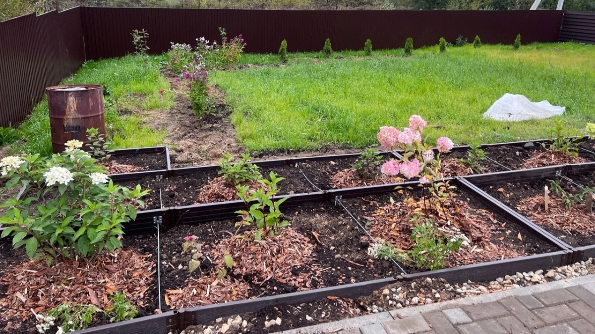 Лунный посевной календарь на неделю: с 13 по 18 апреля - что посадить чтоб получить небывалый урожай