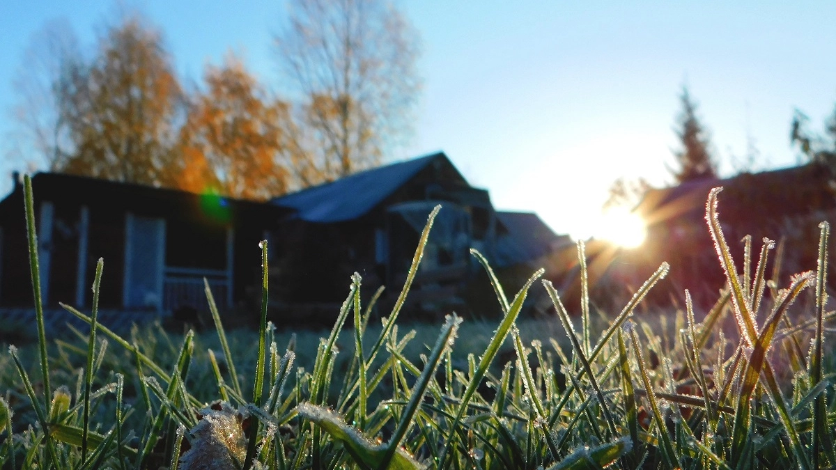 Белая ткань и палка – всё, что нужно: как эффективно проверить участок на клещей за несколько минут
