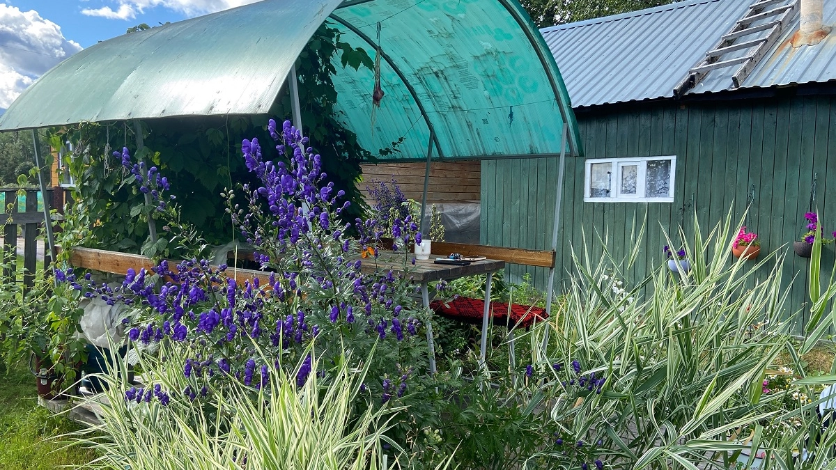 Дача 2026 без лишней работы: идеи для участка, который не занимает все свободное время