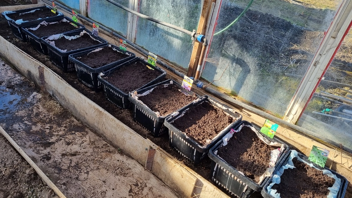 Пачка порошка вместо тонны навоза: грунт легкий и рыхлый — никакой возни и трат