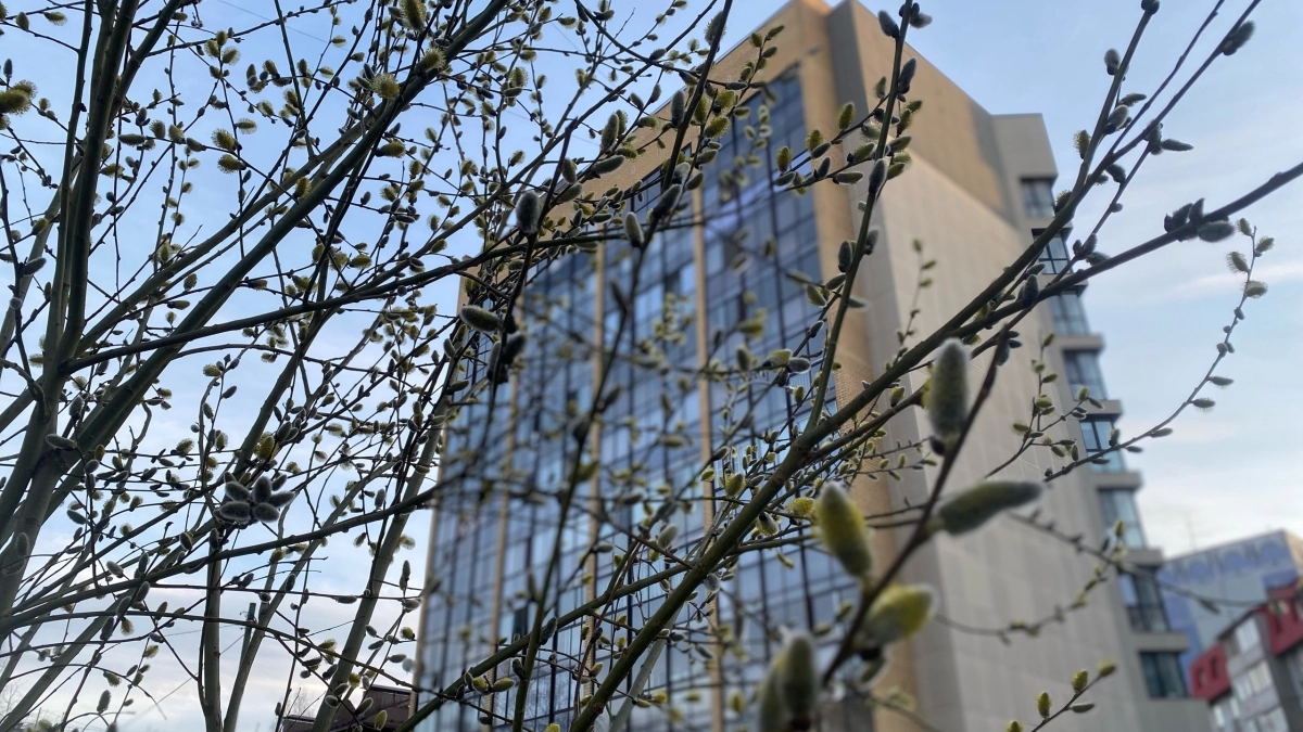 19 апреля удивит Кузбасс ночными заморозками и дневным теплом до +14 °C