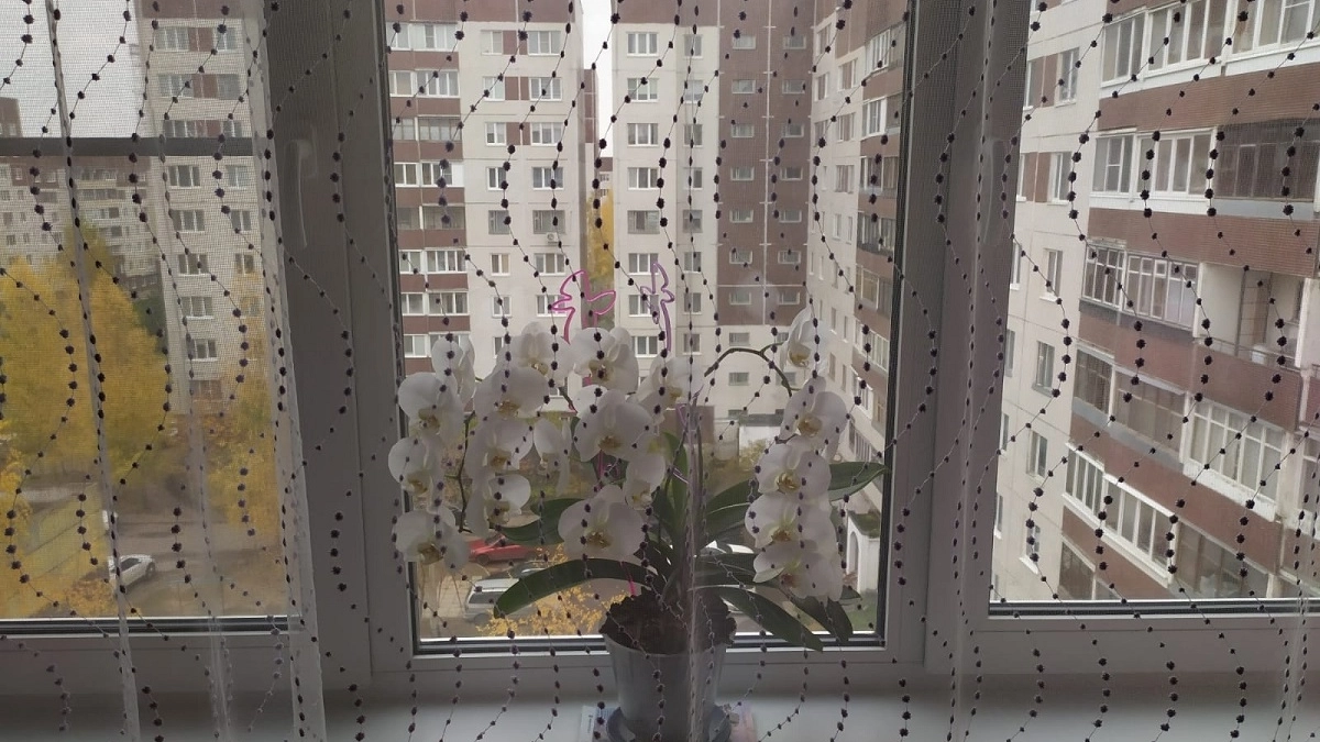 Вешать шторы ламбрекены — прошлый век: что теперь дизайнеры выбирают вместо них в 2026 году