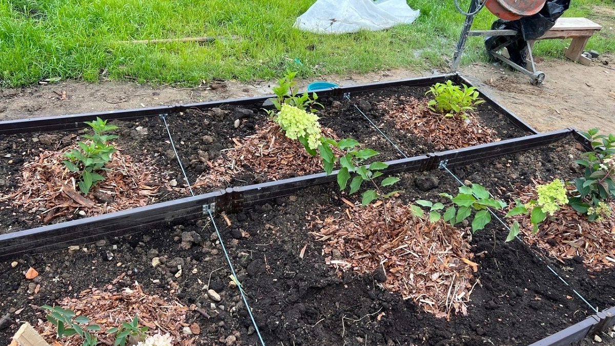 Каждый год в апреле-мае раскидываю это по грядкам — и урожай собираю вёдрами: овощи растут как на дрожжах