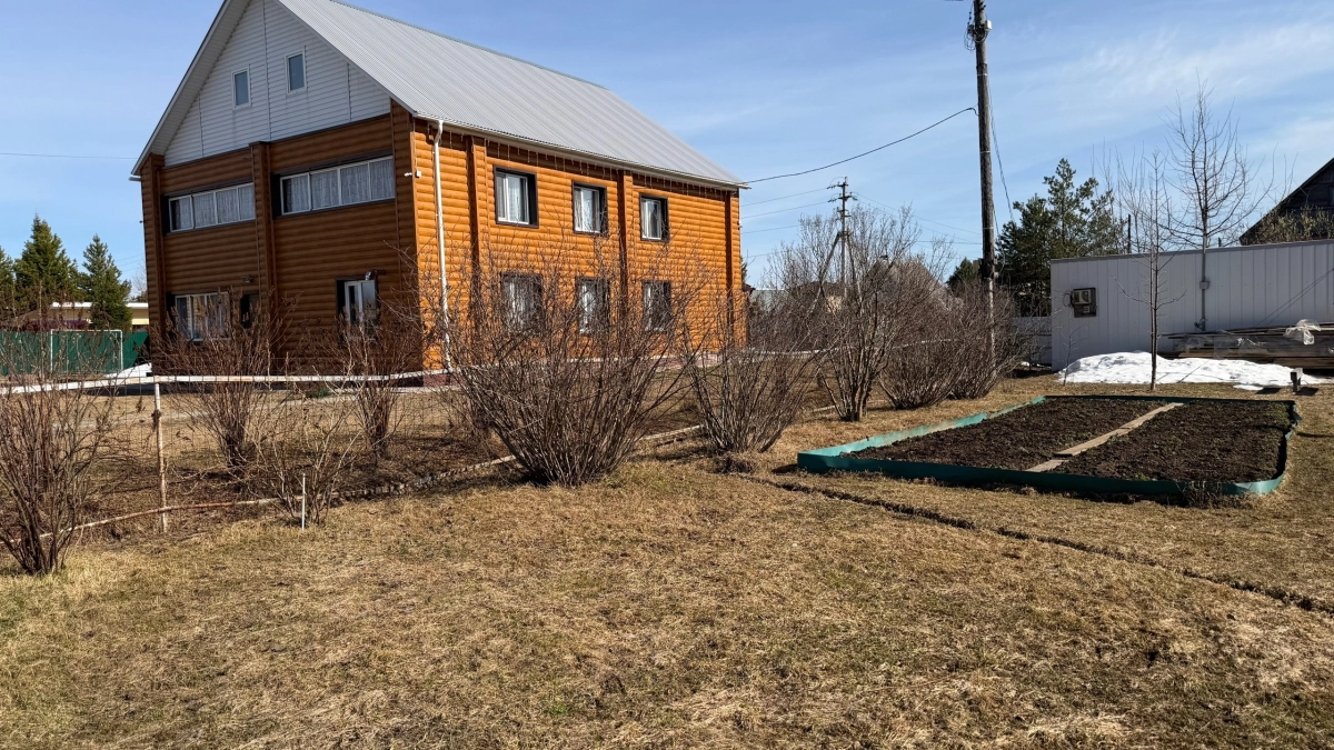 Чего нельзя делать с чесноком этой весной, вот самый правильный уход, не погубите урожай