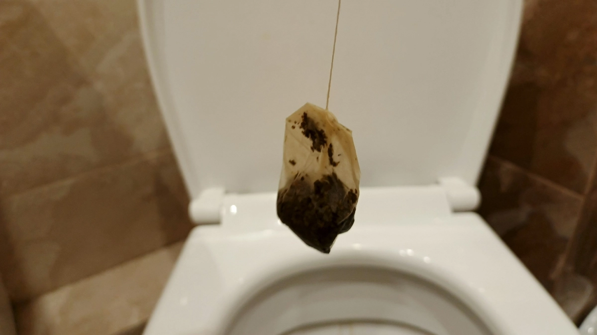 Никогда не выхожу из дома, пока не кину чайный пакетик в унитаз: лайфхак от знакомой горничной