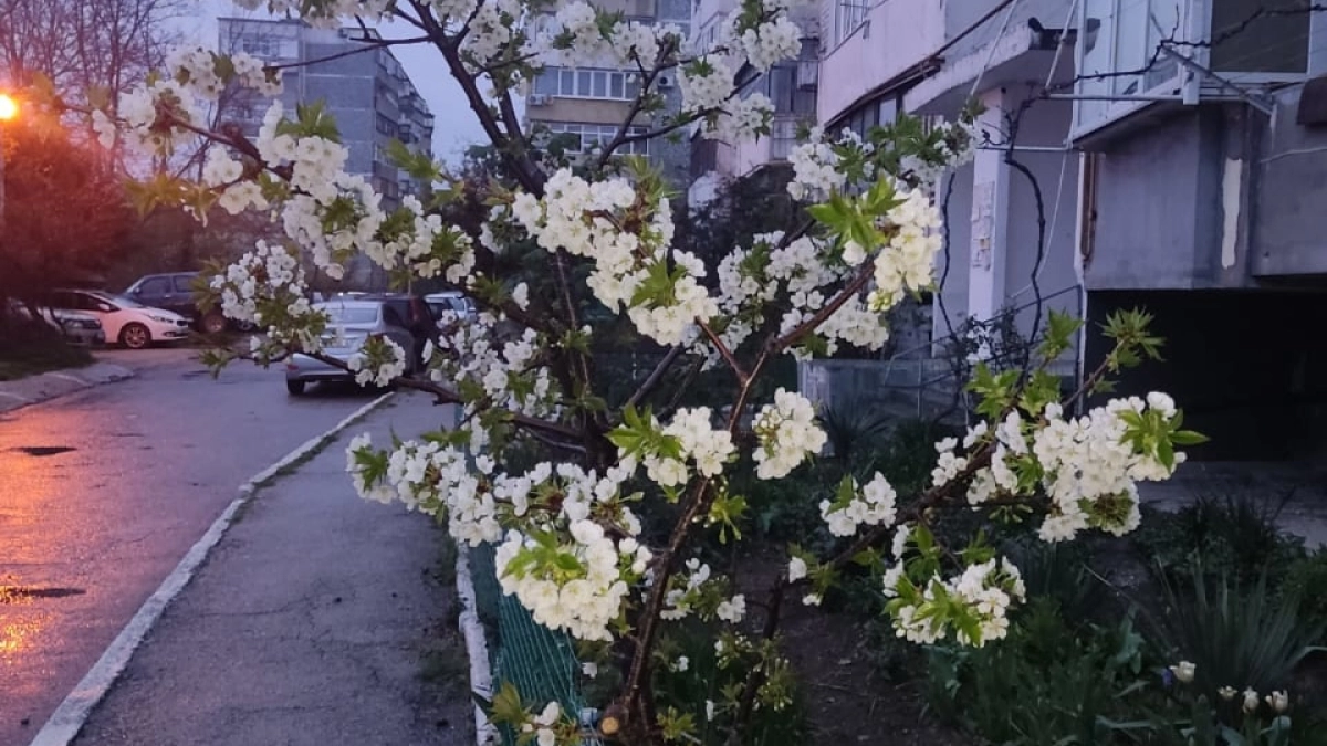 Какой будет погода в мае 2026 года: народные приметы на каждый день