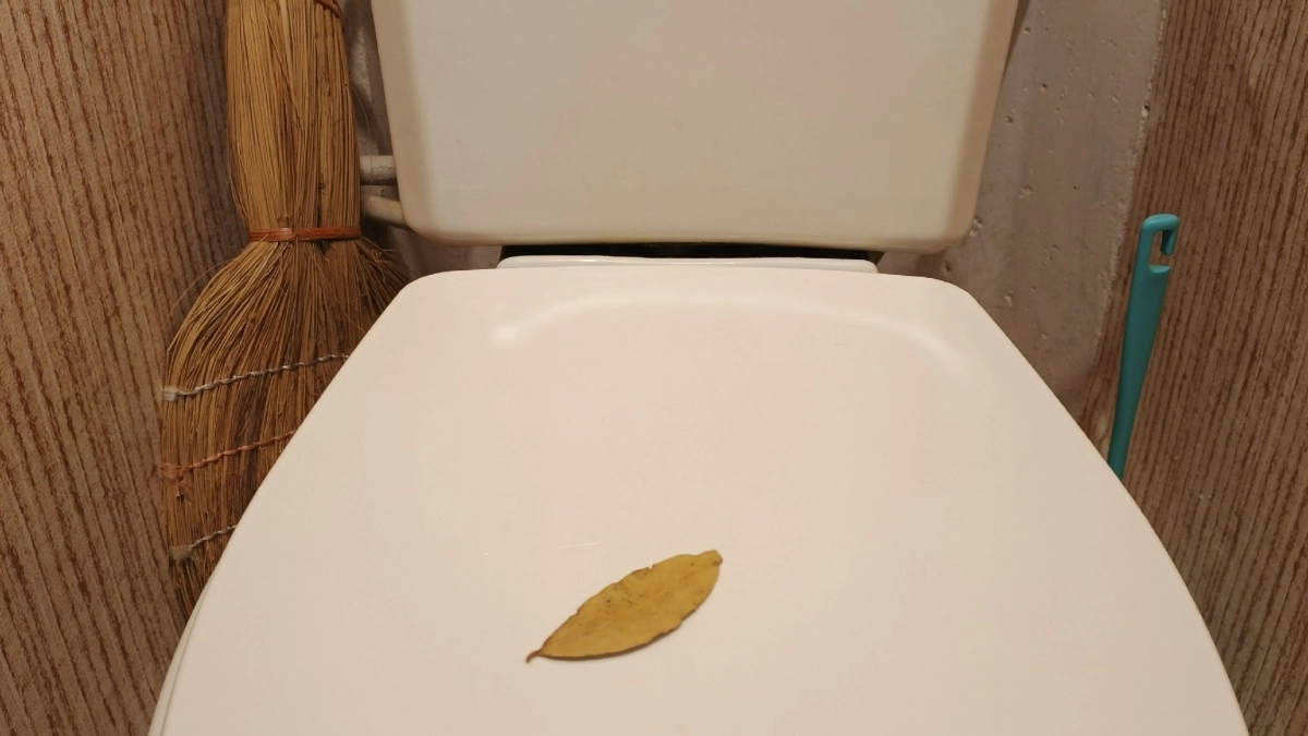 Вы льёте деньги в унитаз: 1 бутылка и 3 дырки — и он будет чище, чем после дорогой химии