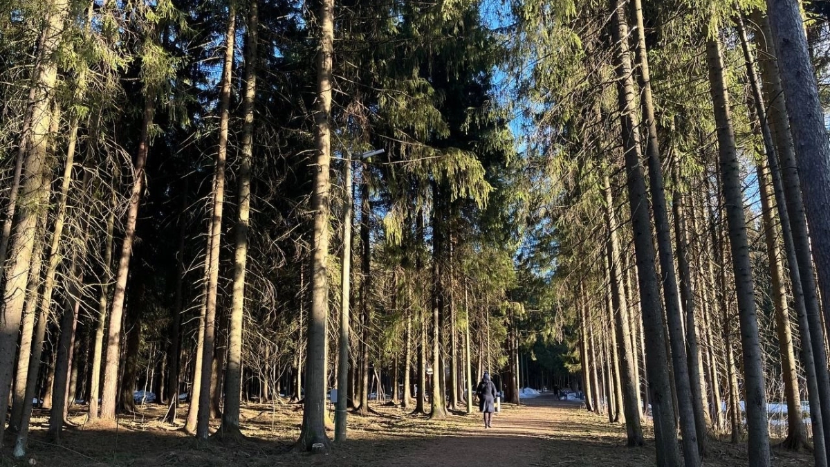 23 апреля в Кузбассе столбики термометров поднимутся до +23