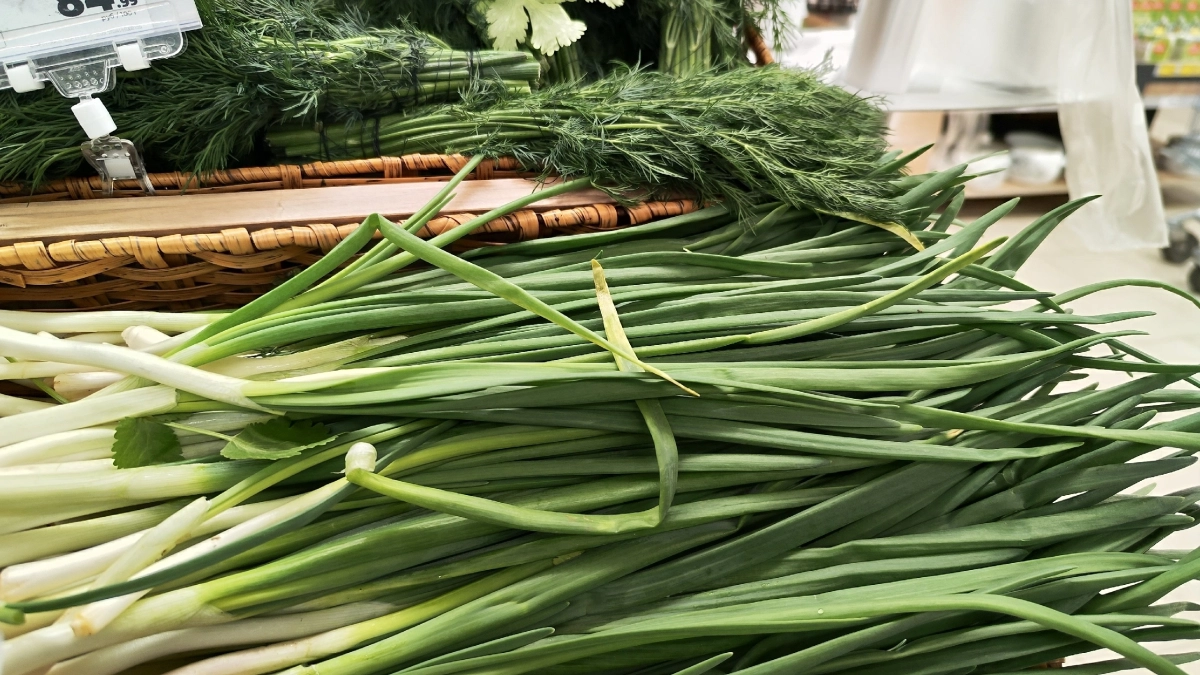 Как поливать лук солью: 30 граммов на ведро, всего 2 раза за сезон, и гниль не приходит