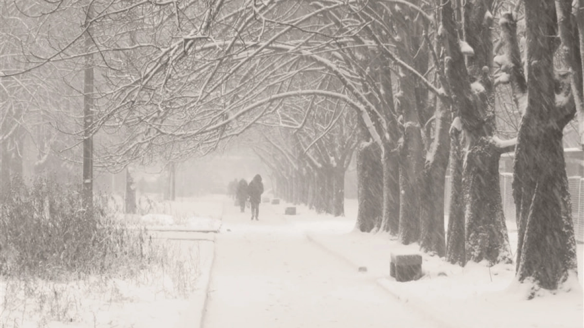 Ждите морозов и снега: прогноз на конец апреля и первую половину майских — синоптики пообещали возвращение зимы