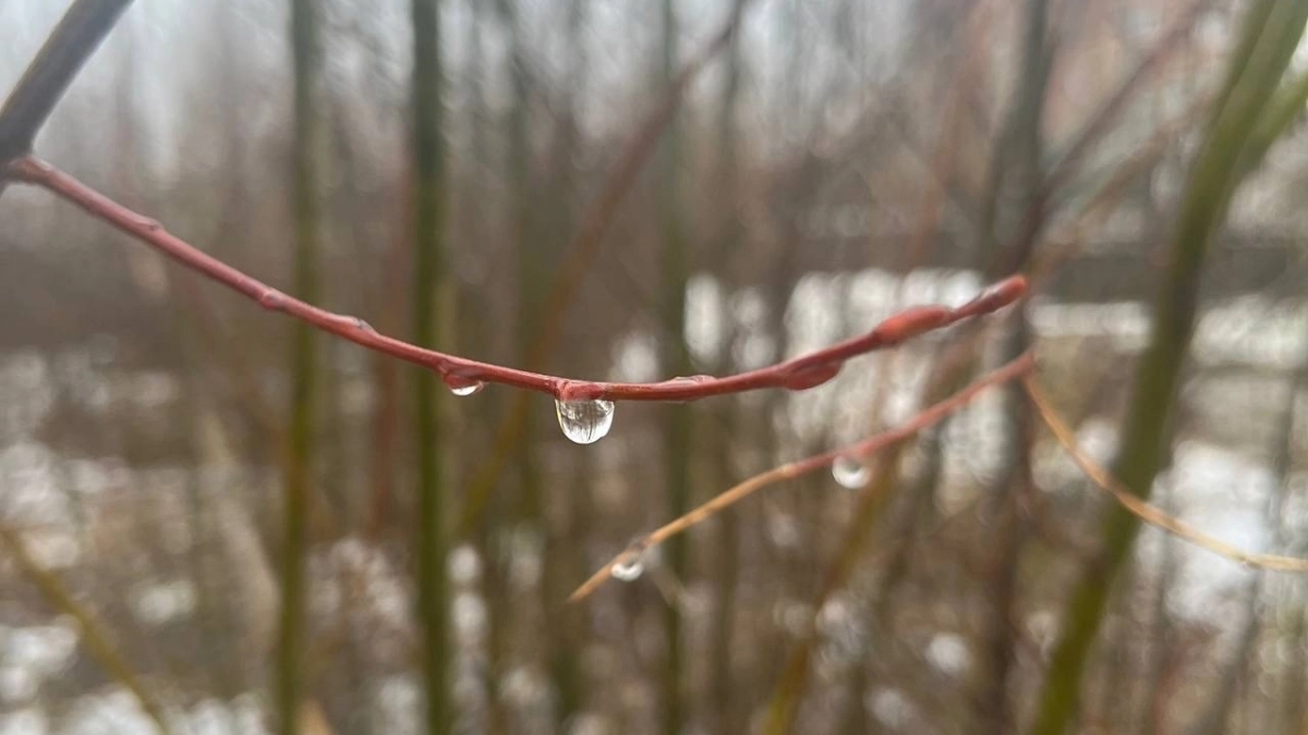 27 апреля на Кузбасс обрушится весенняя стихия: похолодание, ветер и дождь