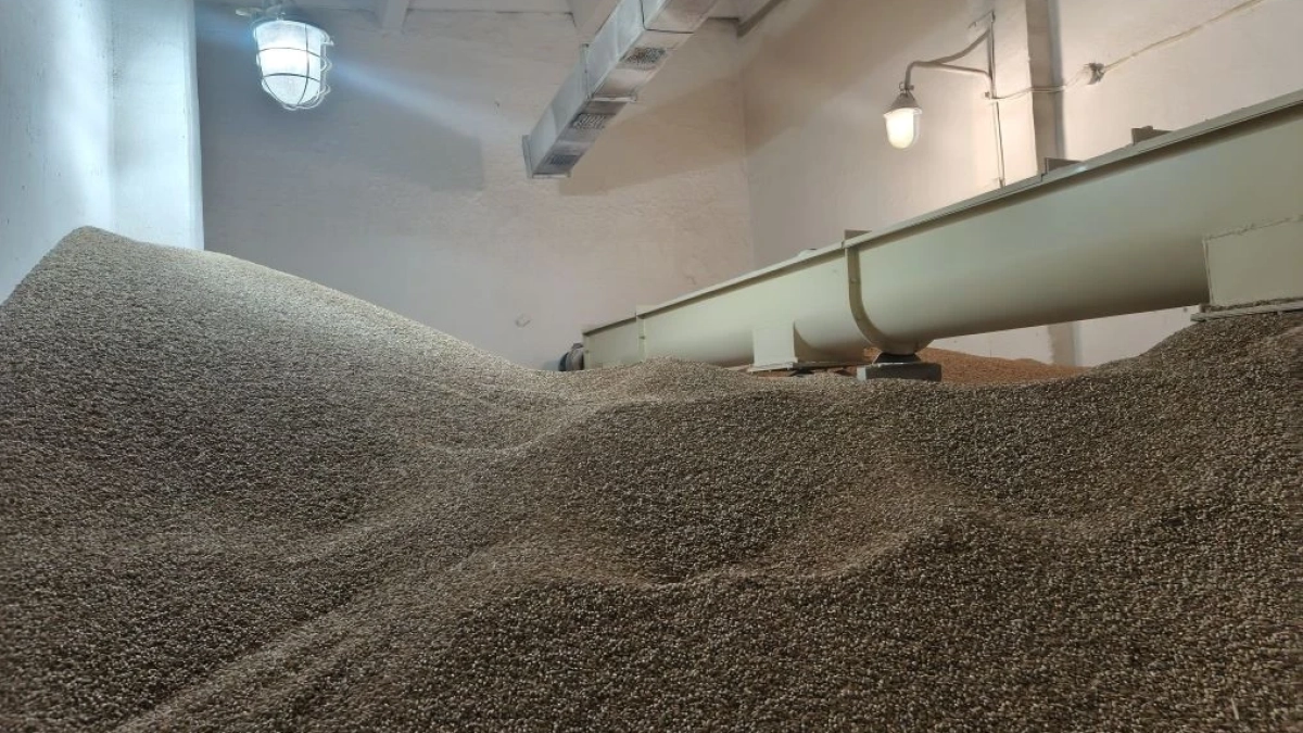 Кузбасс принял почти двести тонн белорусского солода