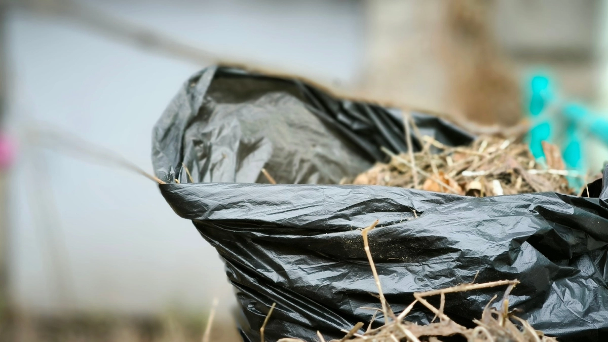 В Киселевске жители выйдут на завершающие субботники перед майскими праздниками