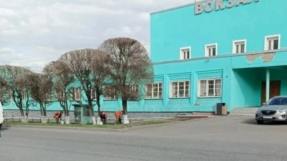 В Киселевске коммунальные бригады начали массовую побелку деревьев