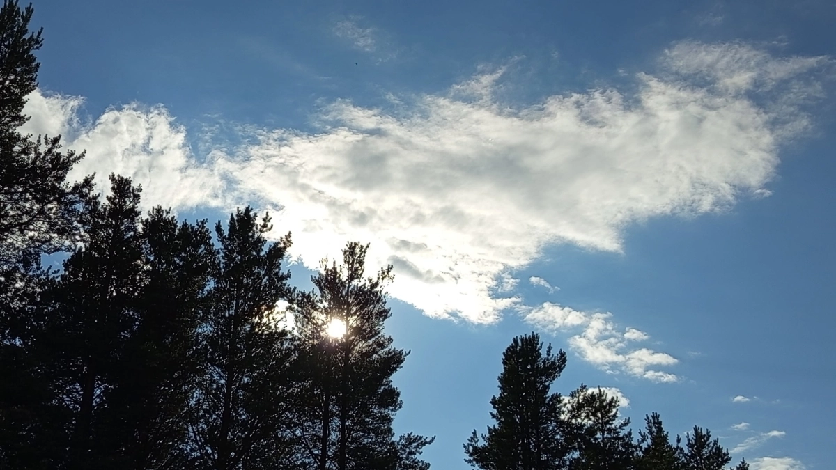 В Кемеровской области ожидаются температурные качели от -5 до +23 градусов: погода в регионе 29 апреля