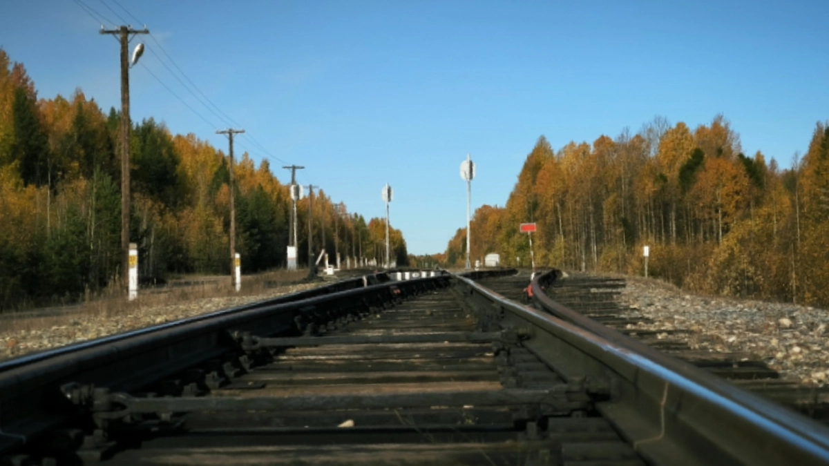 В Кузбассе с рельсов сошли пять гружёных вагонов 