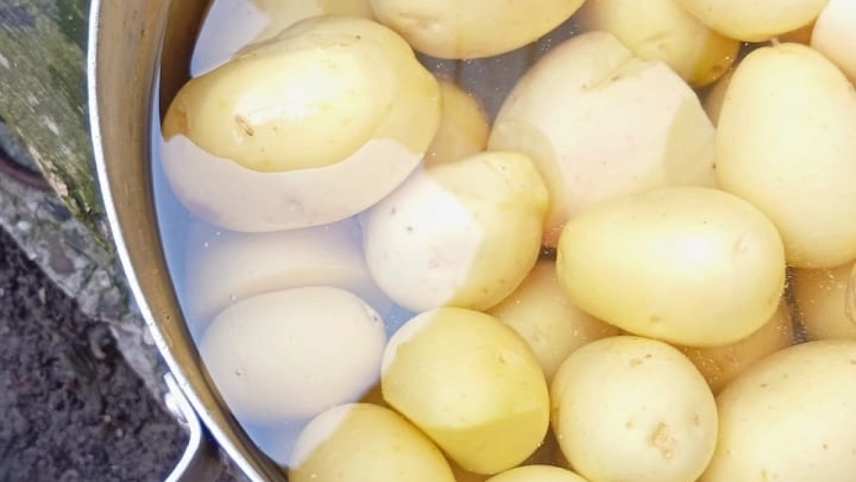 Забудьте про молоко и масло: в картофельное пюре кладу 1 штуку - бабуля из деревни подсказала рецепт