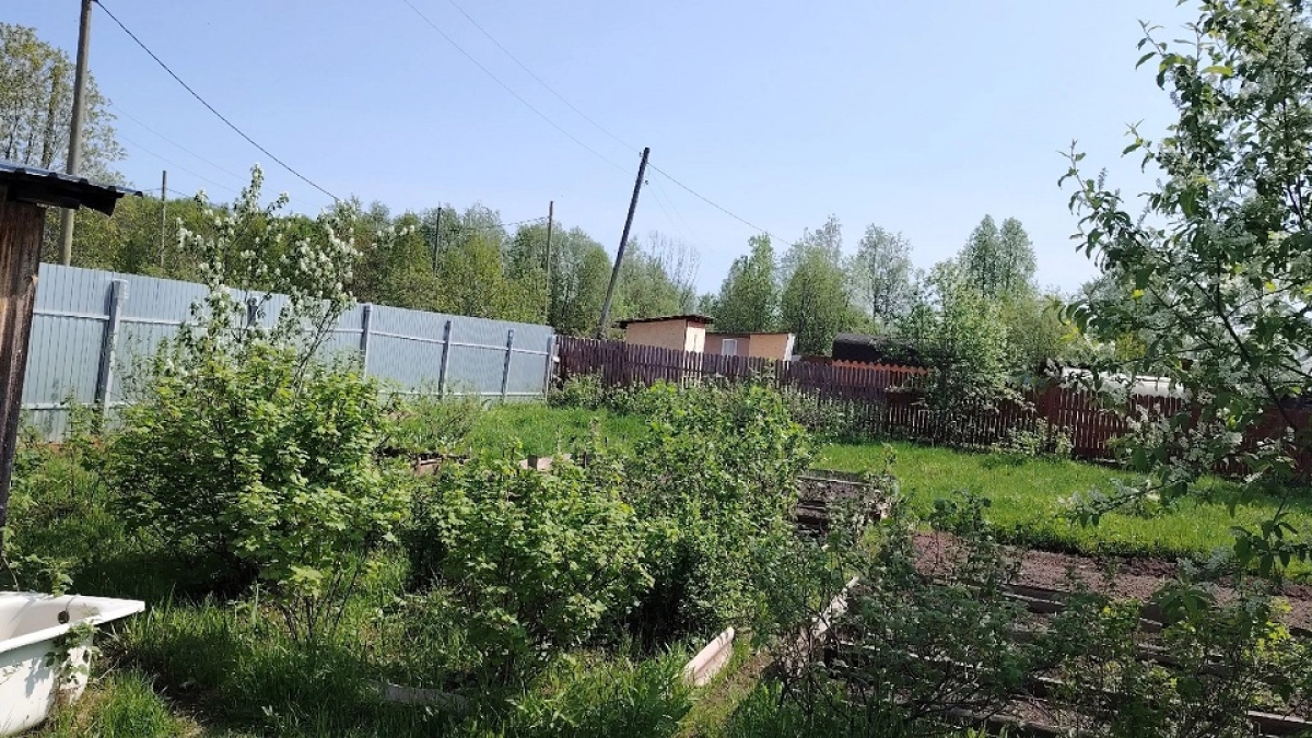 Без этого посадки не дадут урожая: как быстро спасти истощенные грядки 
