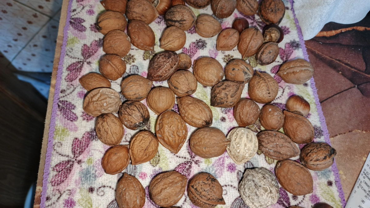 Грецкие орехи без осколков: уникальный лайфхак с бутылкой, который спасёт ваши нервы и ядра