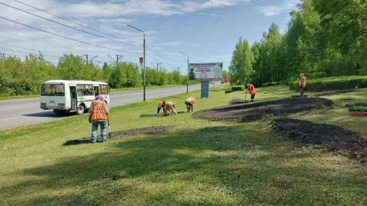 В Киселевске коммунальщики приступили к озеленению