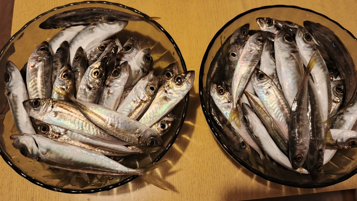 Обман раскрыт: какую рыбу эксперты признали очень полезной и как ее найти