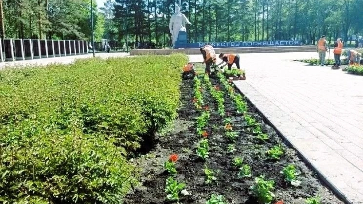 В Киселевске озеленители превращают общественные пространства в цветущие уголки