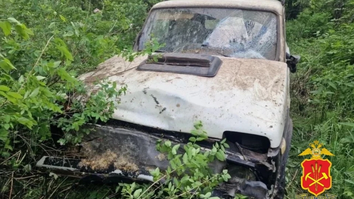 В Кемеровской области водитель сбил школьника и соврал, что нашел его в поле