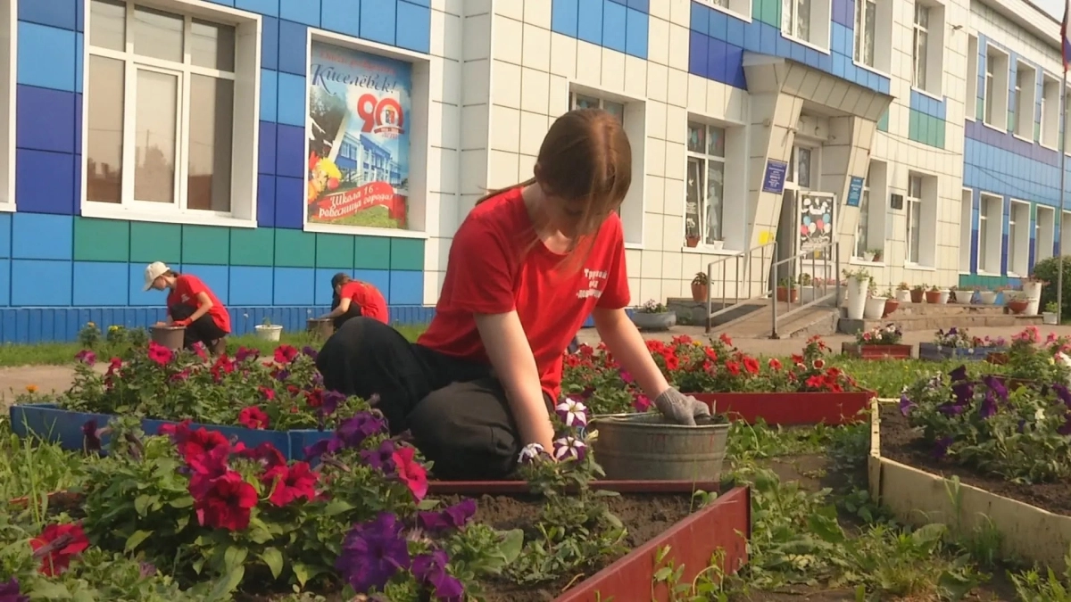 Ученики и педагоги Киселевска превратили школьный двор в плодоносящий огород