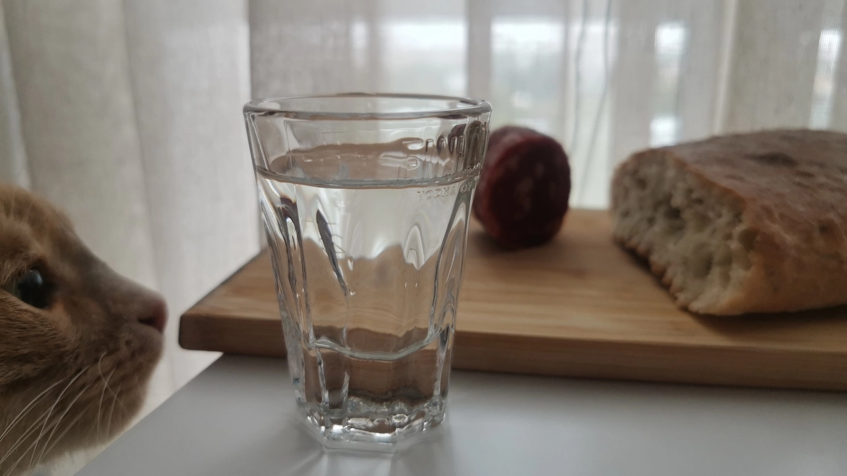 В Кемеровской области за водку без лицензии оштрафовали владелицу магазина
