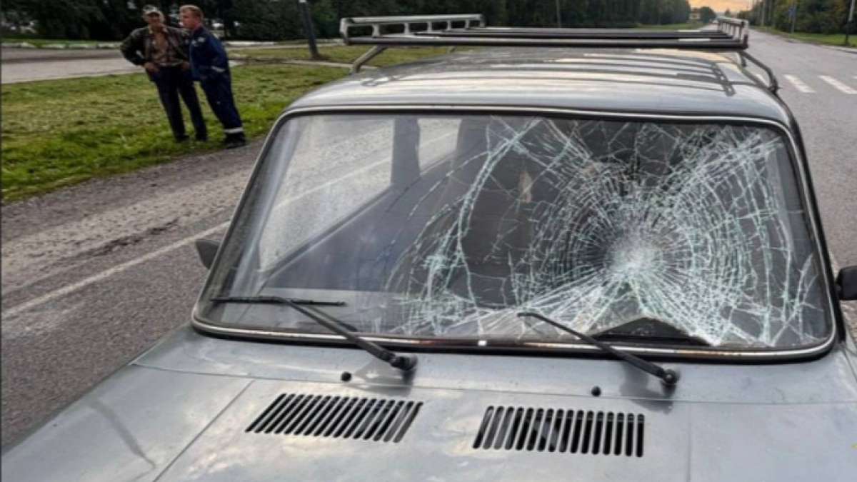 В Киселёвске водитель предстанет перед судом за наезд на пенсионерку на зебре